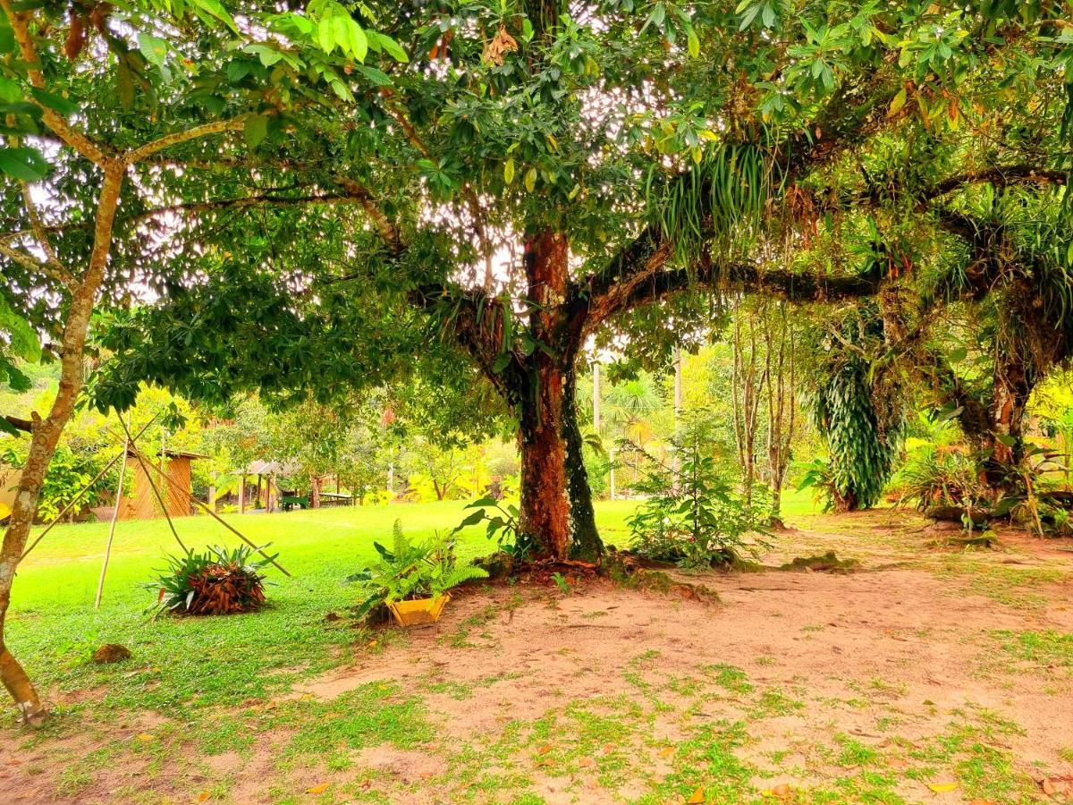 Ponta Poranga Jungle Lodge 마나우스 외부 사진